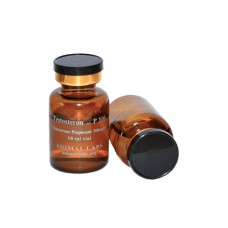 Testosteron – P 100